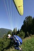 img_8245.jpg