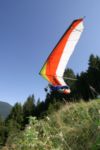 img_8237.jpg