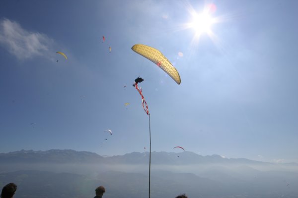 img_8341.jpg