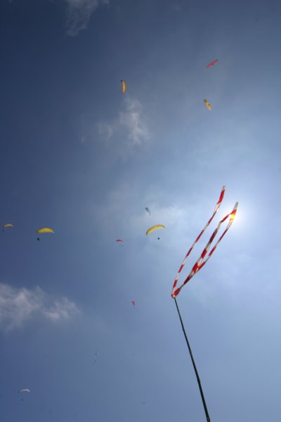img_8342.jpg