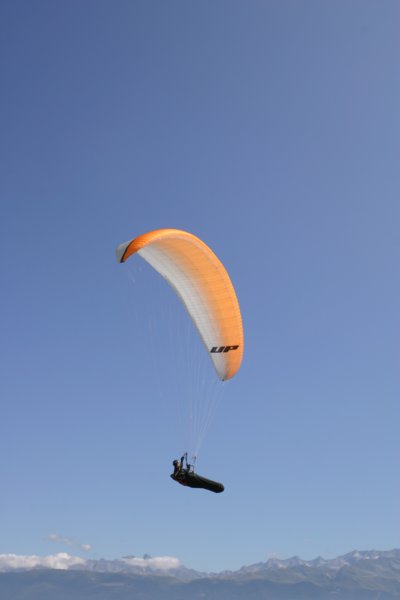 img_8359.jpg