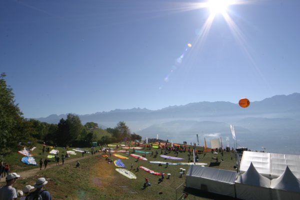 img_8481.jpg