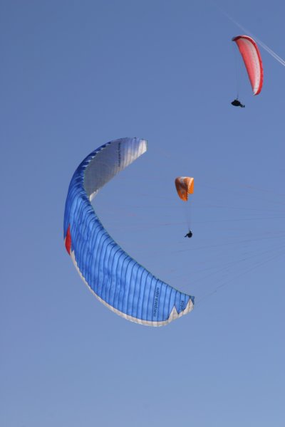 img_8584.jpg