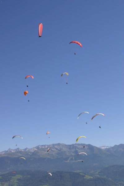 img_8596.jpg