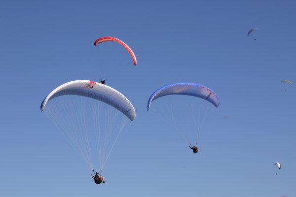 img_8600.jpg