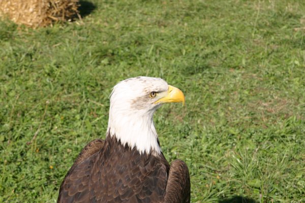 img_8634.jpg