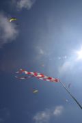 img_8343.jpg