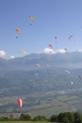 img_8426.jpg