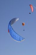 img_8584.jpg