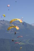 img_8591.jpg