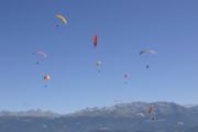 img_8595.jpg