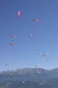 img_8596.jpg