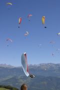 img_8598.jpg