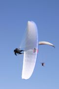 img_8599.jpg