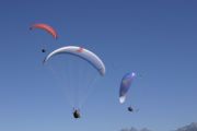 img_8601.jpg