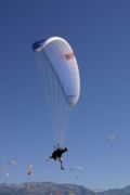 img_8602.jpg