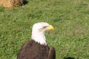 img_8634.jpg