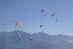 img_8583.jpg
