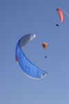 img_8584.jpg