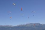 img_8595.jpg
