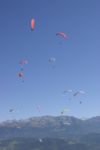 img_8596.jpg