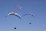 img_8600.jpg