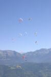 img_8617.jpg