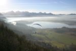 img_2219.jpg