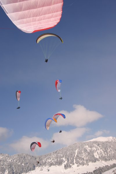 img_4239.jpg