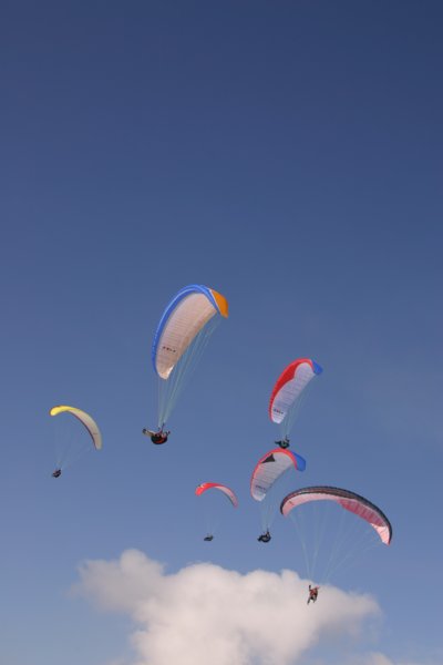 img_4249.jpg