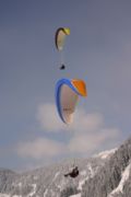 img_4215.jpg