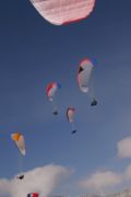 img_4230.jpg