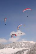 img_4241.jpg