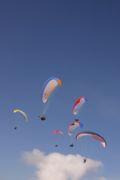 img_4249.jpg