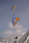 img_4215.jpg