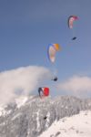 img_4232.jpg