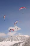 img_4241.jpg