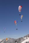 img_4599.jpg