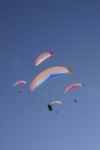 img_4667.jpg