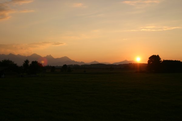 img_5133.jpg