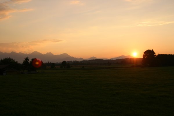 img_5135.jpg