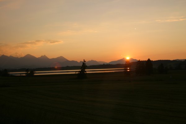 img_5139.jpg
