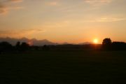 img_5133.jpg