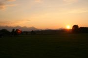 img_5135.jpg