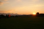 img_5135.jpg
