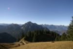 img_6781.jpg