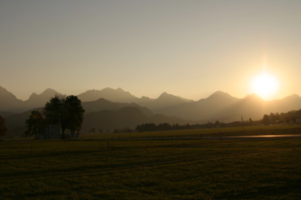 img_7184.jpg