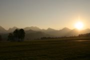 img_7184.jpg