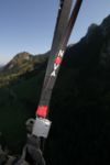 img_7145.jpg