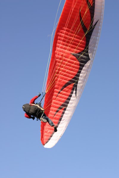 img_8560.jpg